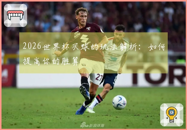 2026世界杯买球的玩法解析：如何提高你的胜算