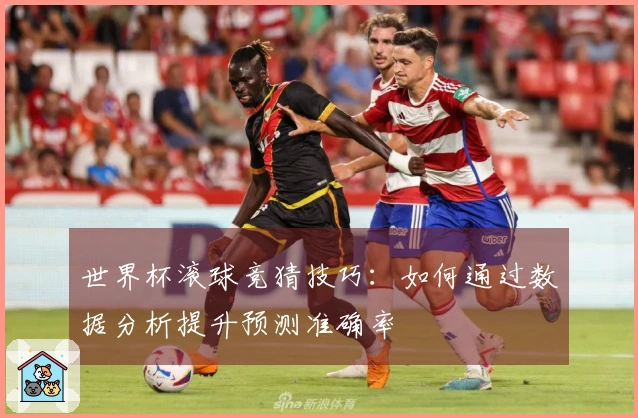 世界杯滚球竞猜技巧：如何通过数据分析提升预测准确率