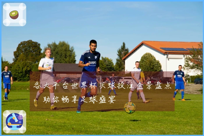 各大平台世界杯买球投注全景盘点，助你畅享足球盛宴