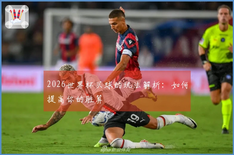 2026世界杯买球的玩法解析：如何提高你的胜算