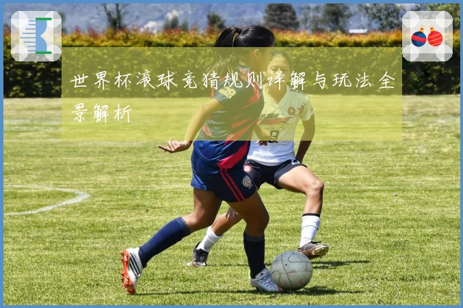 世界杯滚球竞猜规则详解与玩法全景解析