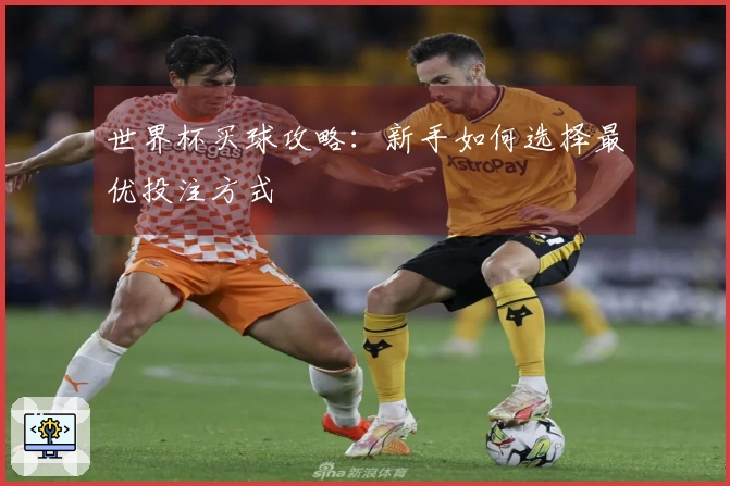 世界杯买球攻略：新手如何选择最优投注方式