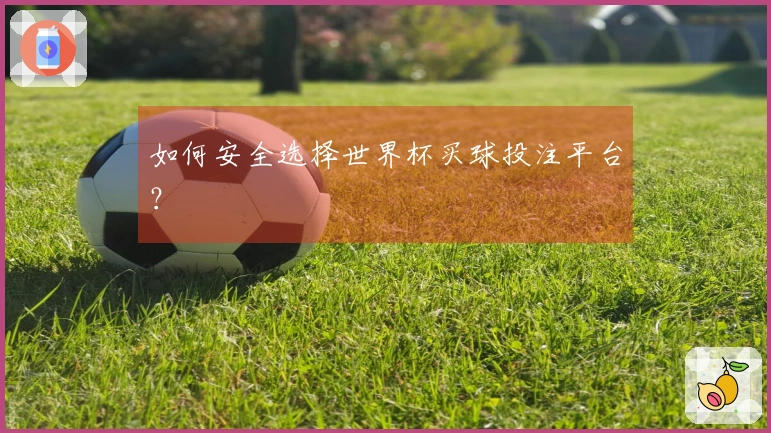 如何安全选择世界杯买球投注平台？