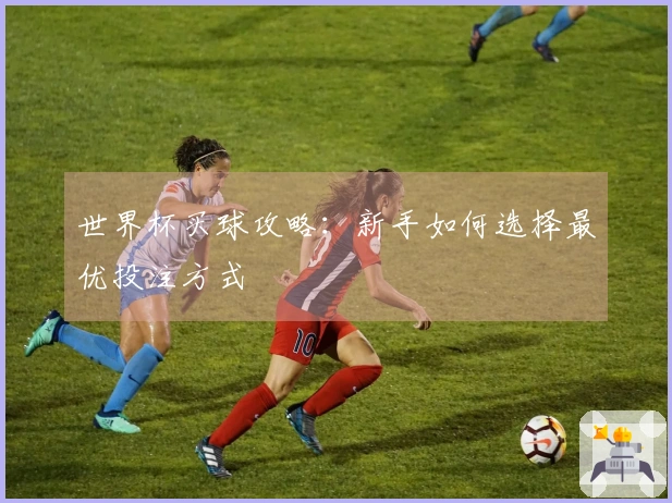 世界杯买球攻略：新手如何选择最优投注方式