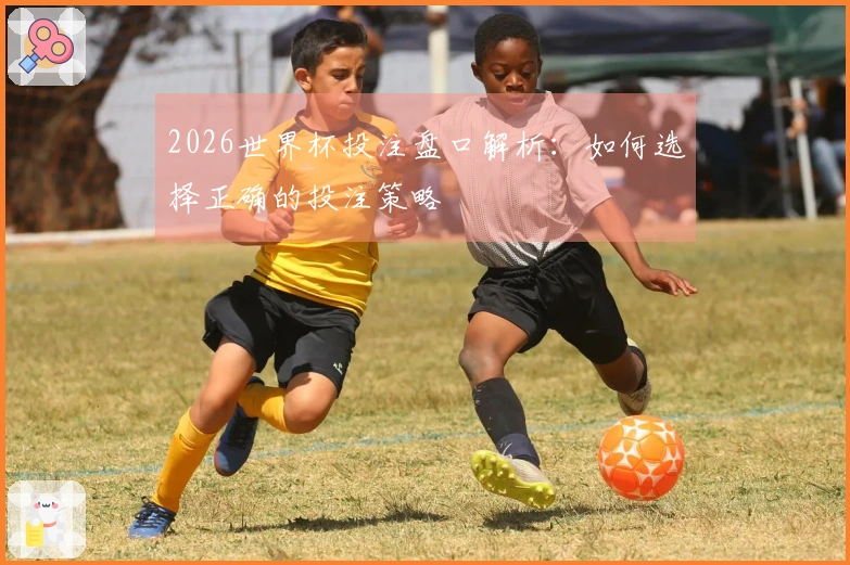2026世界杯投注盘口解析：如何选择正确的投注策略