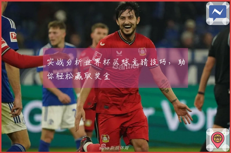 实战分析世界杯买球竞猜技巧，助你轻松赢取奖金