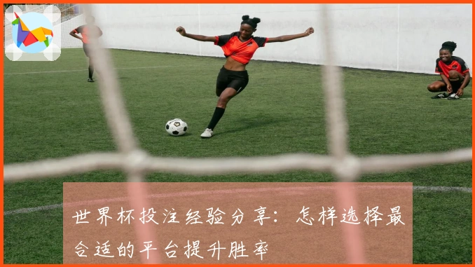 世界杯投注经验分享：怎样选择最合适的平台提升胜率