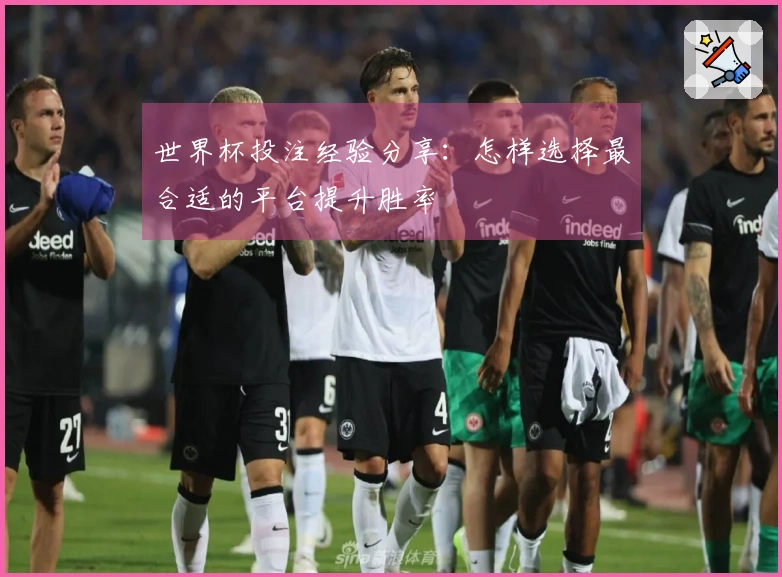 世界杯投注经验分享：怎样选择最合适的平台提升胜率